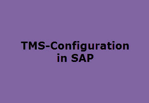 TMS